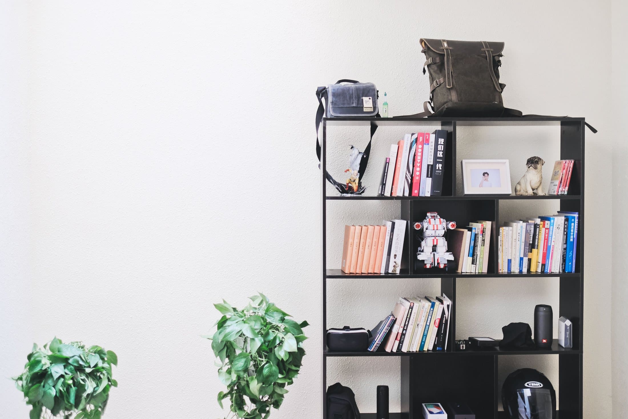 Modern bookcase with books, speakers, plants and repeated open space